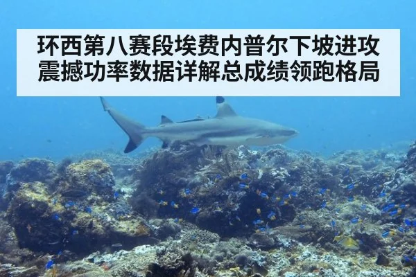 环西第八赛段埃费内普尔下坡进攻震撼功率数据详解总成绩领跑格局